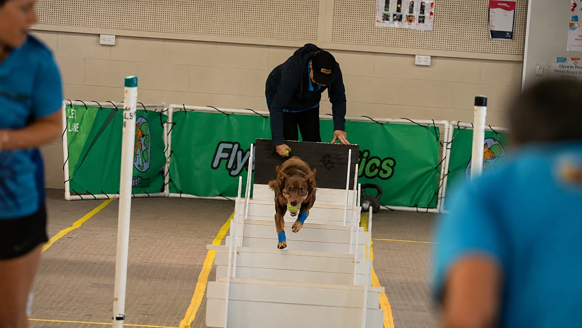 5th July Flyball RSPCA